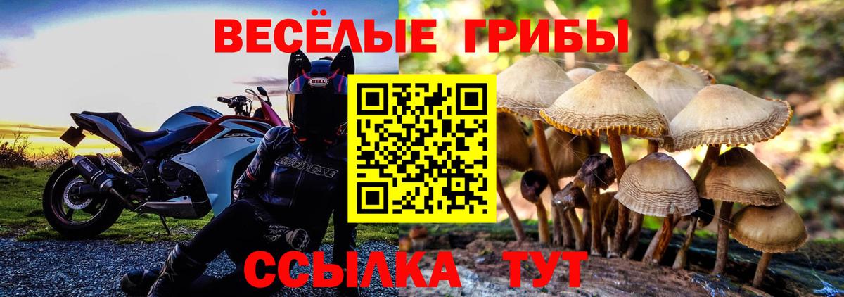 купить  сайты  Вход с VPN  Павловский Посад  Псилоцибиновые грибы Magic Shrooms  Галлюциногенные грибы Magic Shrooms 